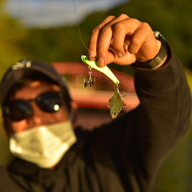 Shimano Dialuna 86ml アングラーズ 釣果300万件の魚釣り情報サイト