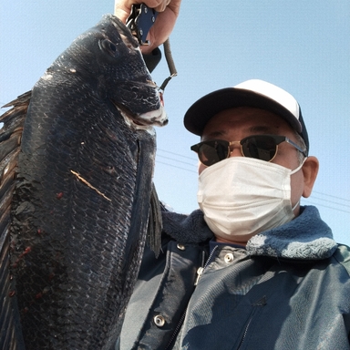 武庫川河口の釣果 釣り場情報 22年最新 アングラーズ 釣果300万件の魚釣り情報サイト