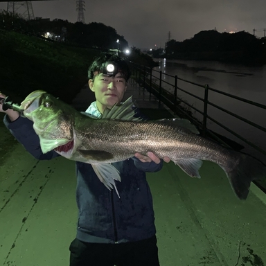 専門学生 さんの 22年04月28日のシーバスの釣り 釣果情報 千葉県 花見川河口 アングラーズ 釣果300万件の魚釣り情報サイト
