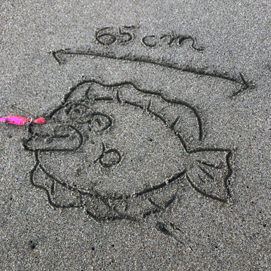ソゲの極みヒラメ さんの釣り人プロフィール アングラーズ 釣果300万件の魚釣り情報サイト