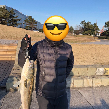 若洲海浜公園海釣り施設の釣果 釣り場情報 22年最新 アングラーズ 釣果360万件の魚釣り情報サイト