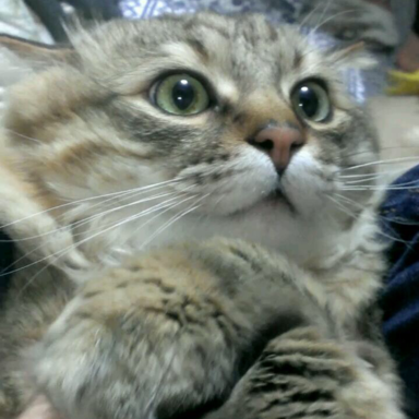 Thumb 551796806.884060