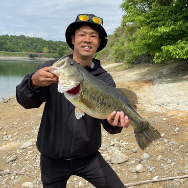 青蓮寺湖の釣果 釣り場情報 22年最新 アングラーズ 釣果360万件の魚釣り情報サイト