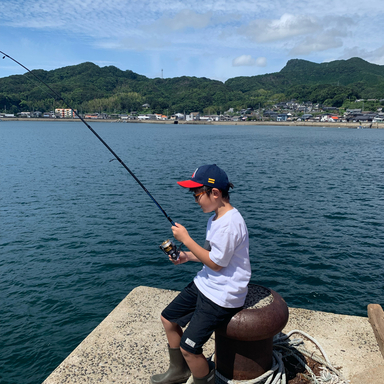 Shimano Lurematick S86ml ルアーマティック アングラーズ 釣果300万件の魚釣り情報サイト