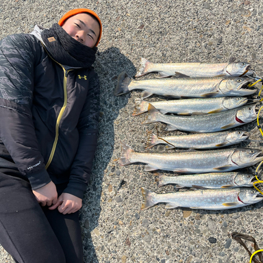 サクラマス釣りたい さんの釣り人プロフィール アングラーズ 釣果360万件の魚釣り情報サイト