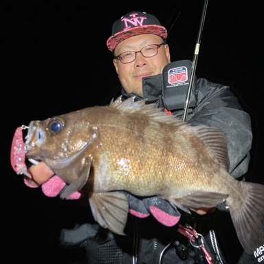 Breaden Glamourrockfish Grf Tr85 Quot Pe Special Quot Houri Island アングラーズ 釣果300万件の魚釣り情報サイト