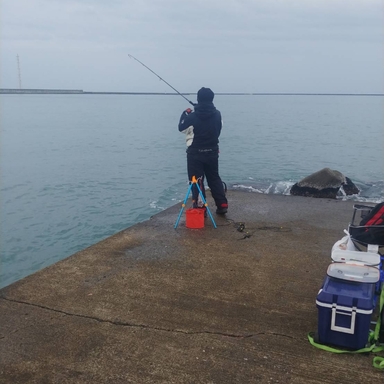 加賀フィッシングエリアで釣れたサクラマスの釣り 釣果情報 アングラーズ 釣果360万件の魚釣り情報サイト