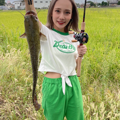 元荒川の釣果 釣り場情報 22年最新 アングラーズ 釣果360万件の魚釣り情報サイト