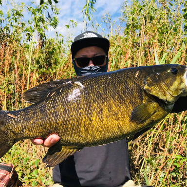 猪苗代湖の釣り人 アングラーズ 釣果360万件の魚釣り情報サイト