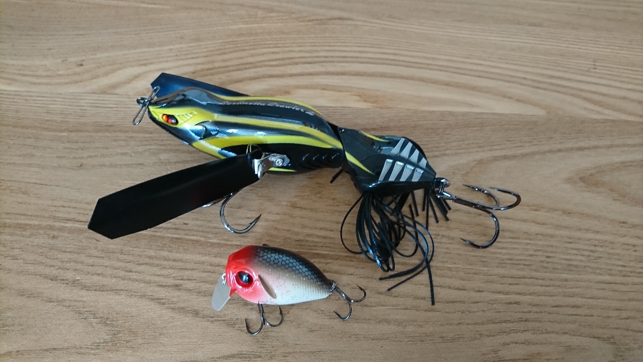 ケムマキさんのダイワ ラテオ 96m Qのレビュー