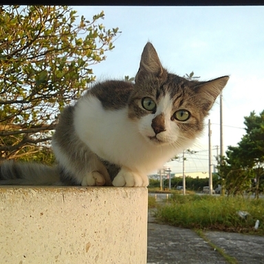 Thumb image 189b688c 0428 4584 be56 82e6c9a284f6