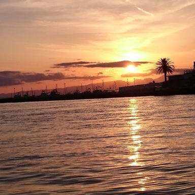 Thumb image ae2e7723 addb 4e79 aa07 91b3af0ef06a