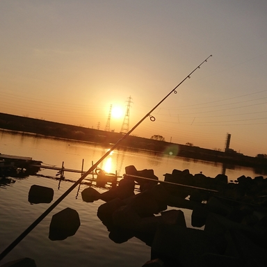 Thumb image f7e2b974 fe8e 4469 8318 9ddd8d43acf5