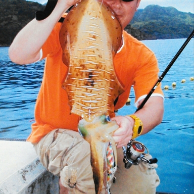 Thumb image e3d4890a b54a 4fb9 8975 c124b411f52f