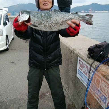 Thumb image 9eb3e7fa a2ac 4f14 b6ba 59d2075e8435