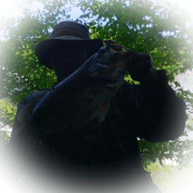 Thumb aviary image 1526113097577