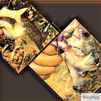 Thumb 533534844.006603