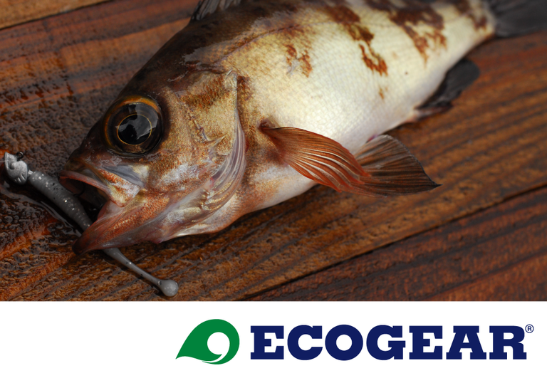 ECOGEAR presents 全国メバル