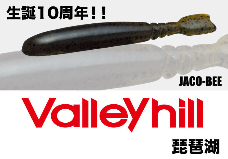 【Valleyhill@琵琶湖】2018年度3月大会