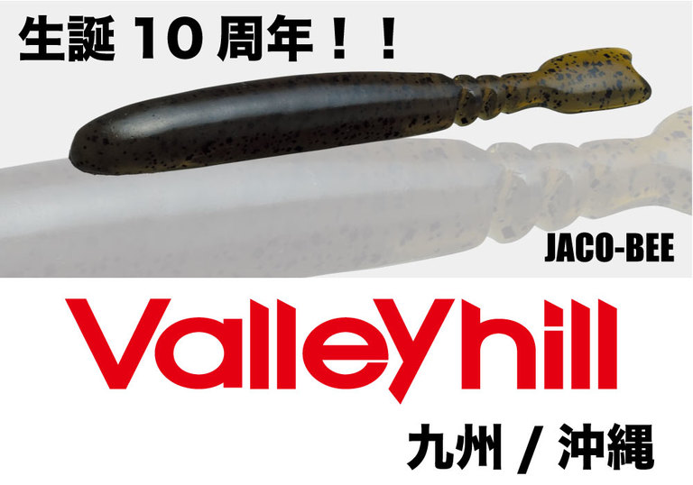 【Valleyhill@九州/沖縄】2018年度3月大会