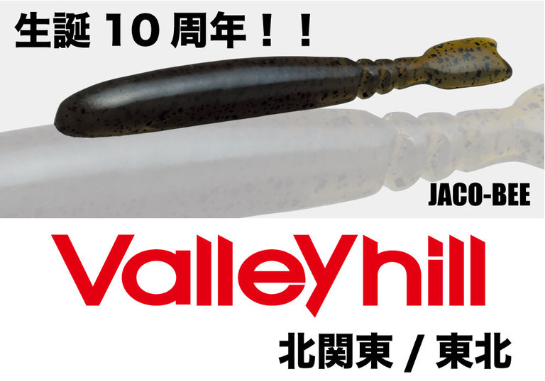 【Valleyhill@北関東/東北】2018年度3月大会