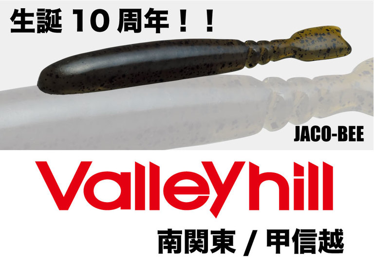 【Valleyhill@南関東/甲信越】2018年度3月大会