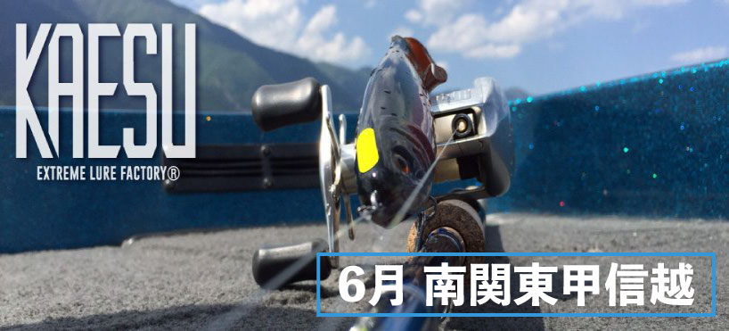 Kaesu ブラックバス18 南関東 甲信越 アングラーズ 釣果300万件の魚釣り情報サイト
