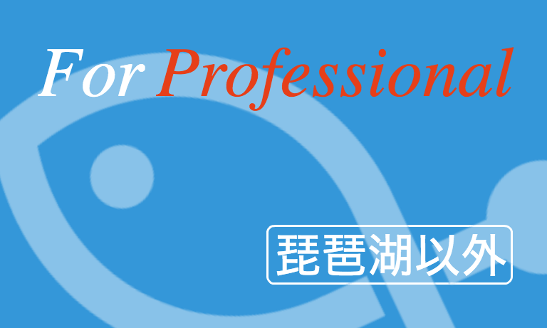 【琵琶湖以外】For Professional