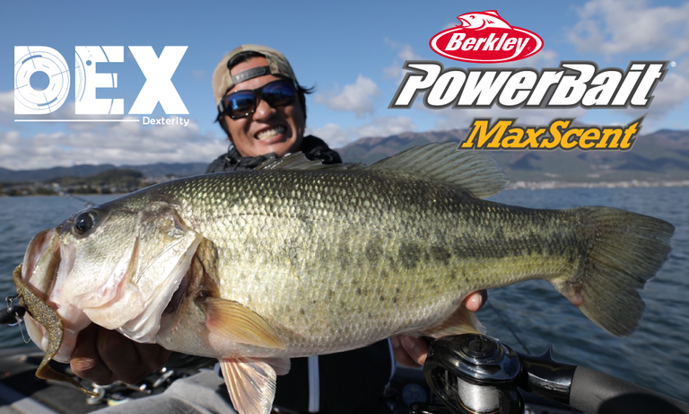 【Abu/Berkley】MaxScent/DEX限定イベント