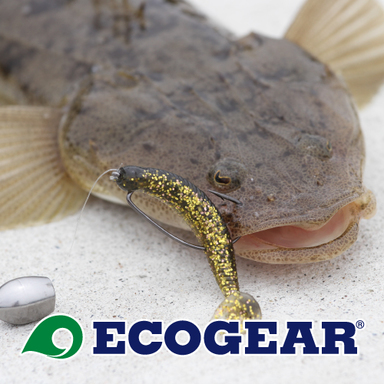 【ECOGEAR】フラットフィッシュオープン
