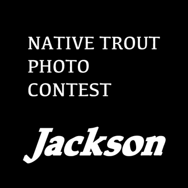 【Jackson】ネイティブトラウトフォトコンテスト