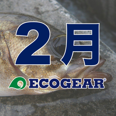 【ECOGEAR】メバルオープン 2018-2019 2月