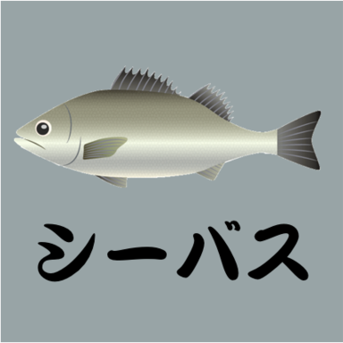 第1回【週間でかいもの勝ち】シーバスを釣ろう