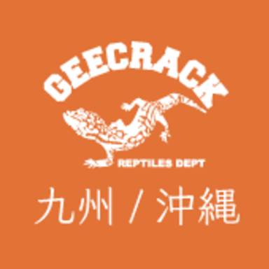 GEECRACK大会(九州沖縄)