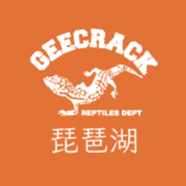 GEECRACK大会(琵琶湖)