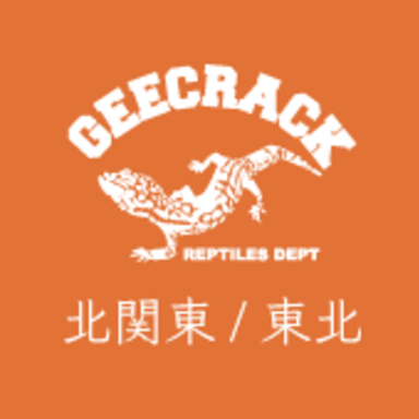 GEECRACK大会(北関東・東北)
