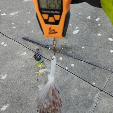 ATEC INC. CRAZEE TACO STICK C702H