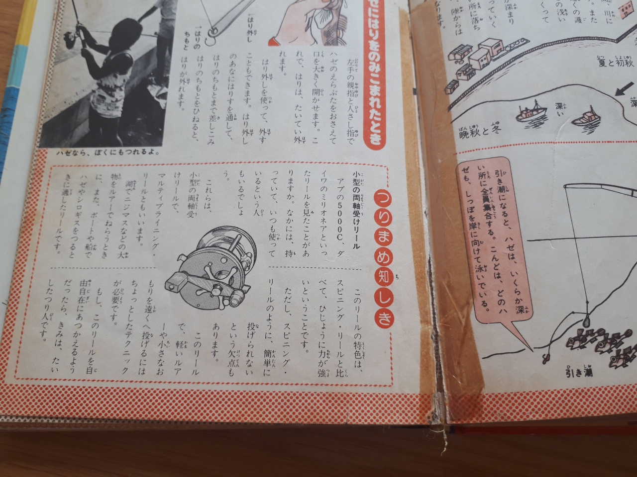 百万長者 日本人であることの誇り By 中年よ大使を抱け ダイワ ミリオネア 5000 のレビュー アングラーズ 釣果0万件の魚釣り情報サイト