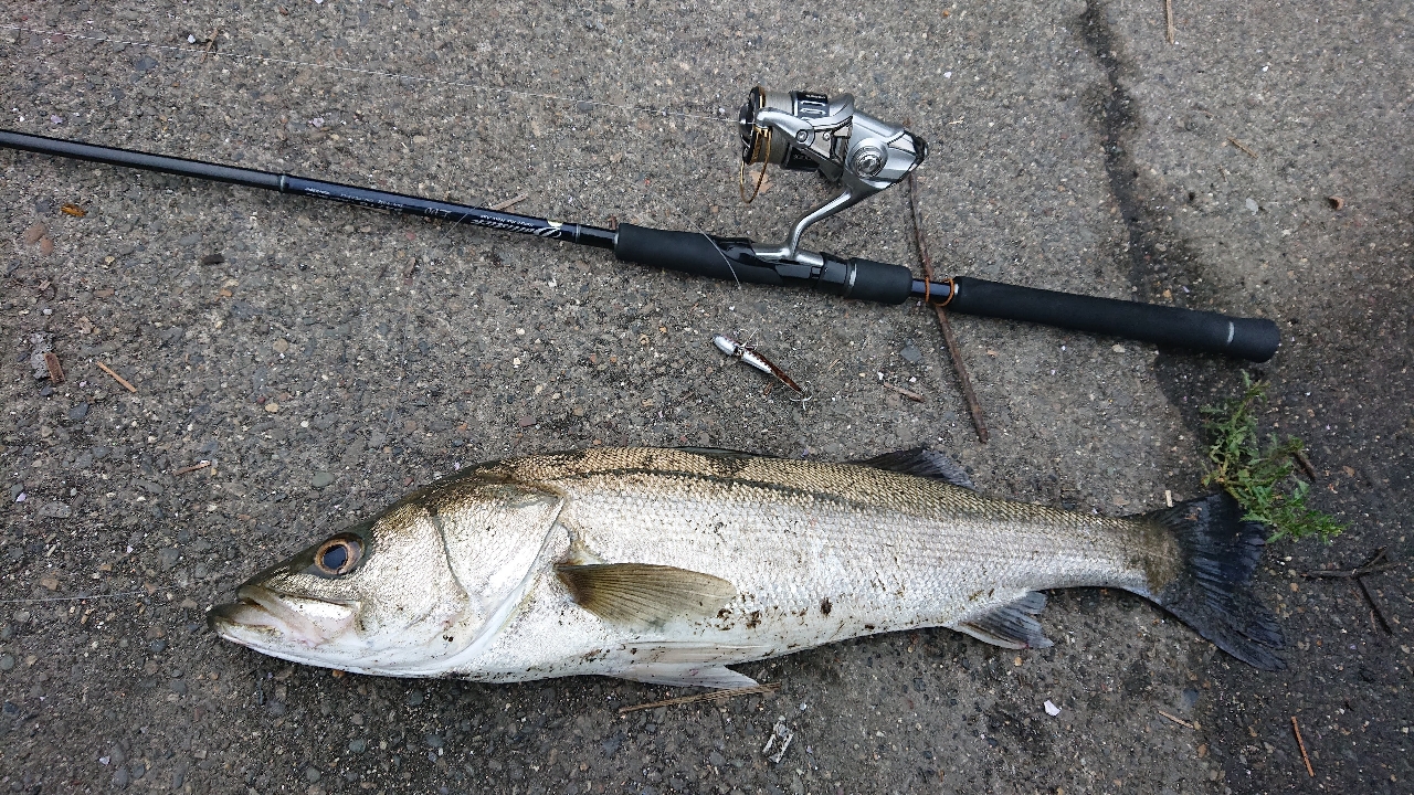 最高の相棒です。 by SWNC kinchan [ヤマガブランクス バリスティック