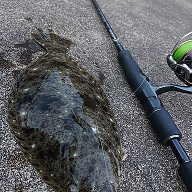 春色3カラー✧ ヤマガブランクス Ballistic evo 94/16 バリスティック