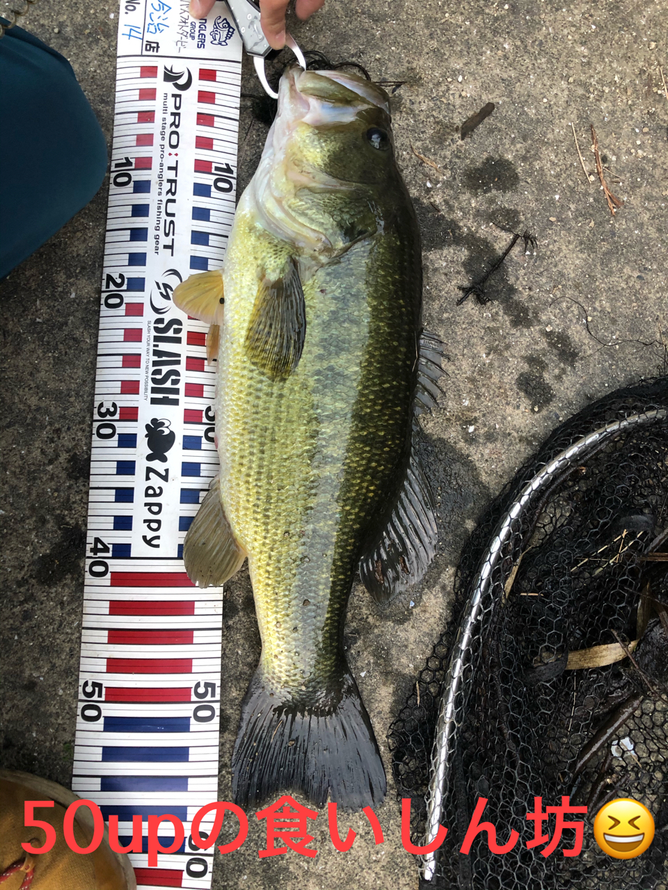 ５５upも釣れます By Yasu 8 シマノ 18ポイズンアドレナ 172h 2 のレビュー アングラーズ 釣果0万件の魚釣り情報サイト