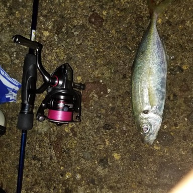 アングラーズ Anglers 釣果や口コミで探せる魚釣り情報サイト