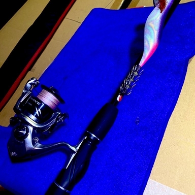 Daiso Daiso 6 ft ルアーロッド アングラーズ 釣果300万件の魚釣り情報サイト