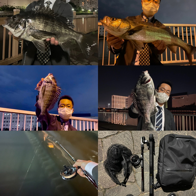 Daiwa Liberty Club Kotsugiiso 2 270 アングラーズ 釣果300万件の魚釣り情報サイト