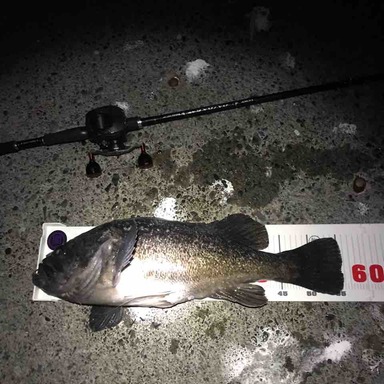 Shimano Power Pro Z 2 0号 33lb モスグリーン アングラーズ 釣果250万件の魚釣り情報サイト