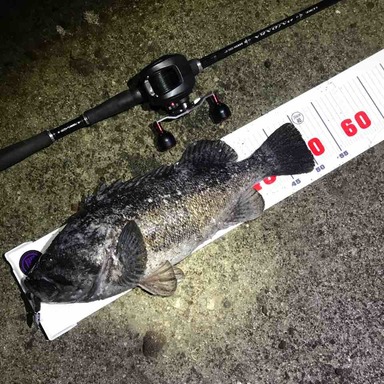 Shimano Power Pro Z 2 0号 33lb モスグリーン アングラーズ 釣果250万件の魚釣り情報サイト