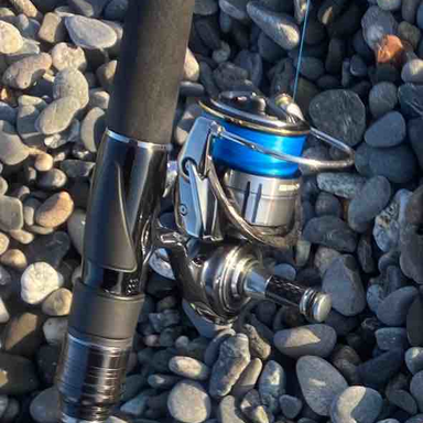 Daiwa Certate 19 Lt3000 Cxh アングラーズ 釣果360万件の魚釣り情報サイト