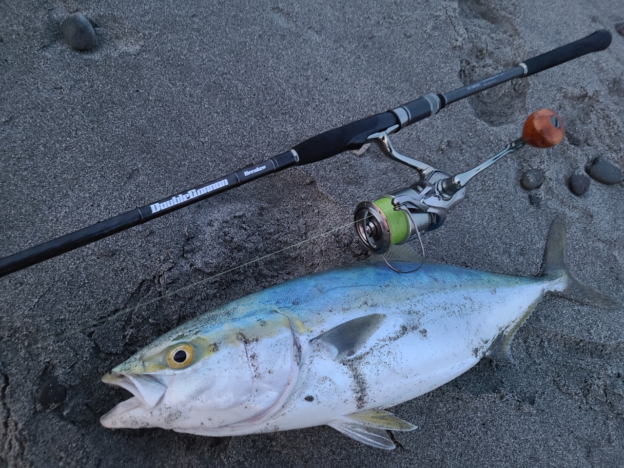 まさにフラットフィッシュ専用! by Tak_m_fishing [バディーワークス ...
