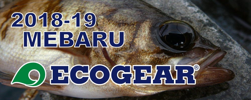 【ECOGEAR】2018-19メバルイベント