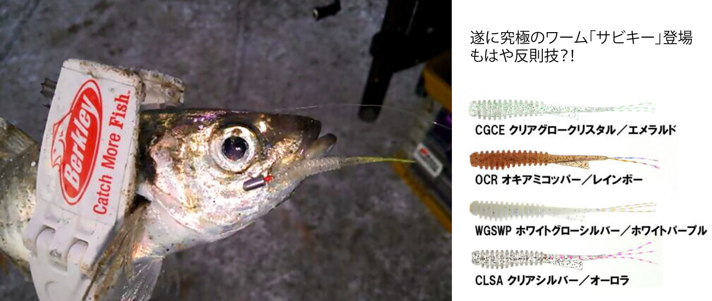 バークレイトーナメント メバル アングラーズ 釣果200万件の魚釣り情報サイト